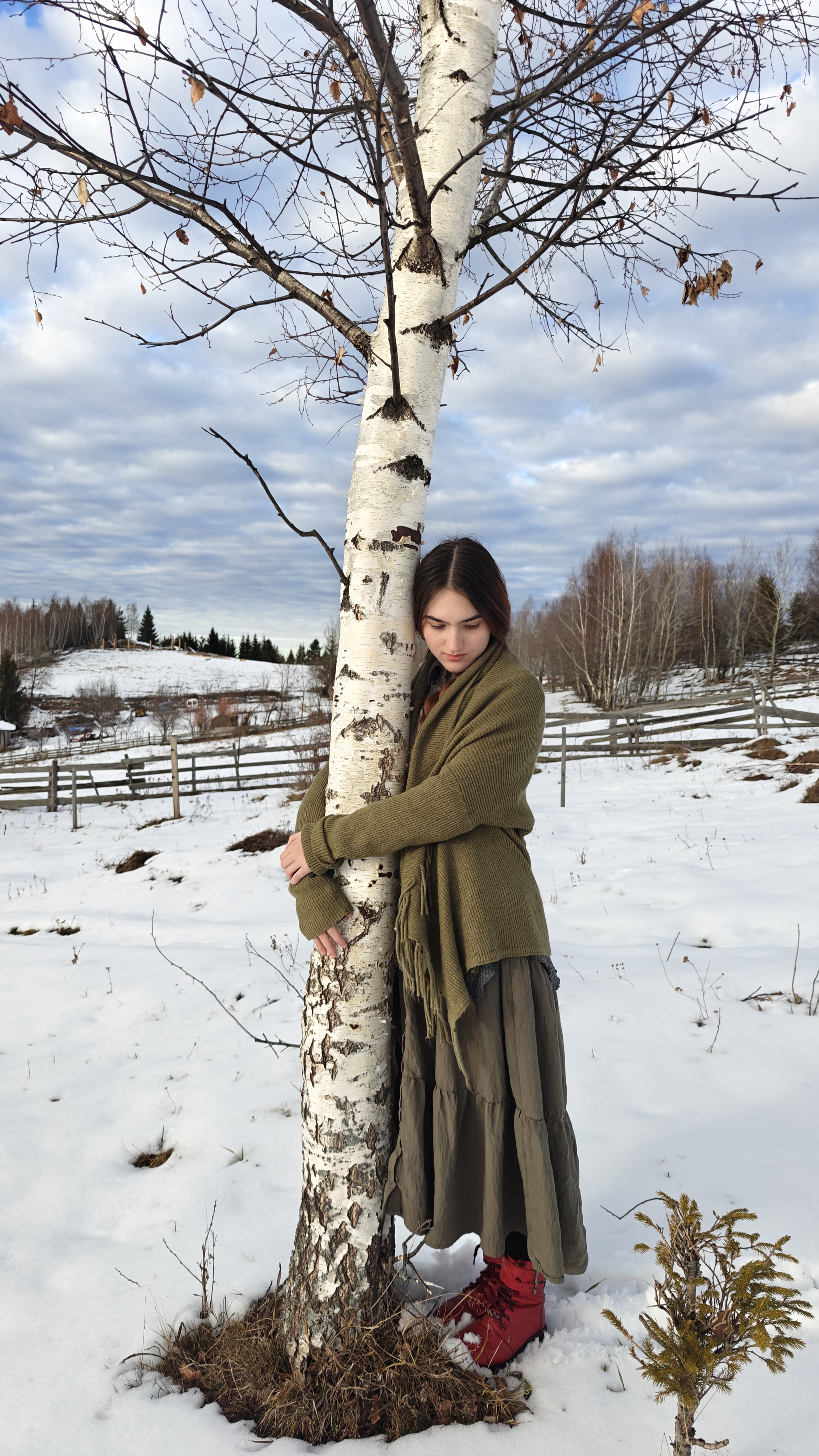 Vanessa alături de un mesteacăn, iarna